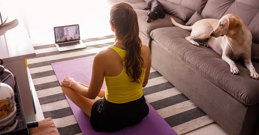 Cursos livres: o que são, exemplos, papel do Moodle e como empreender com eles?