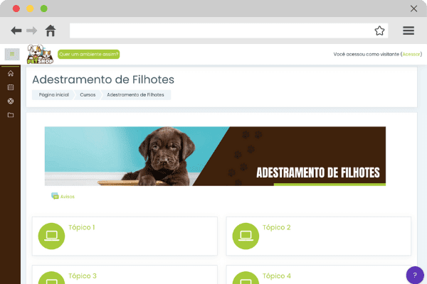 formato-curso-plataforma